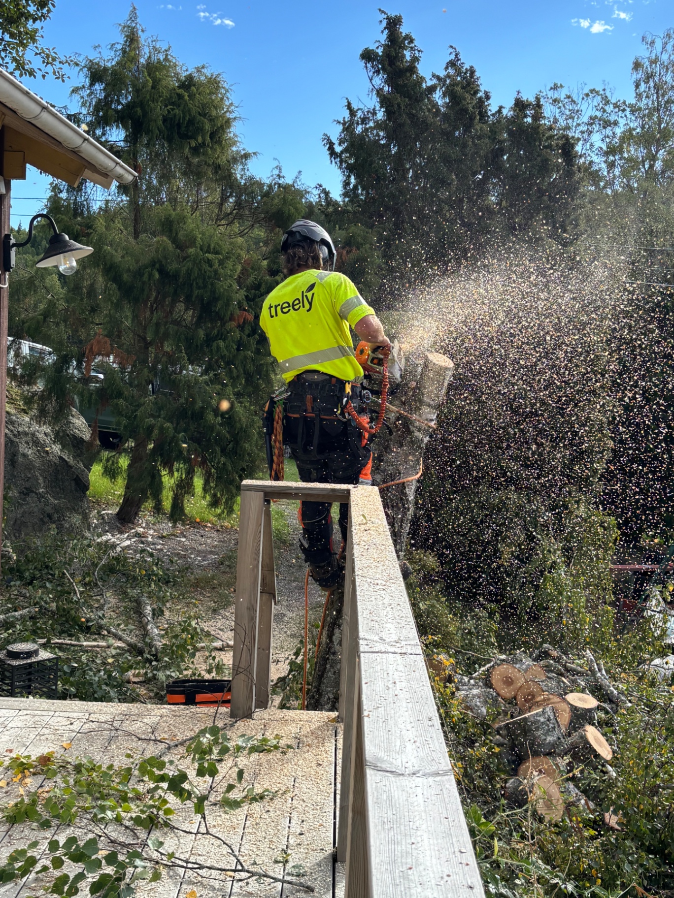 Arborist fäller en kraftig lutande björk sektionsvis intill trätrappa och altan, flis i luften